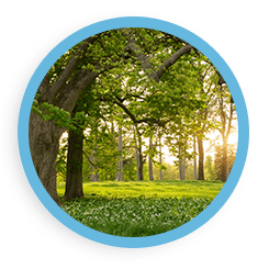 approfondimenti arte musica bettella